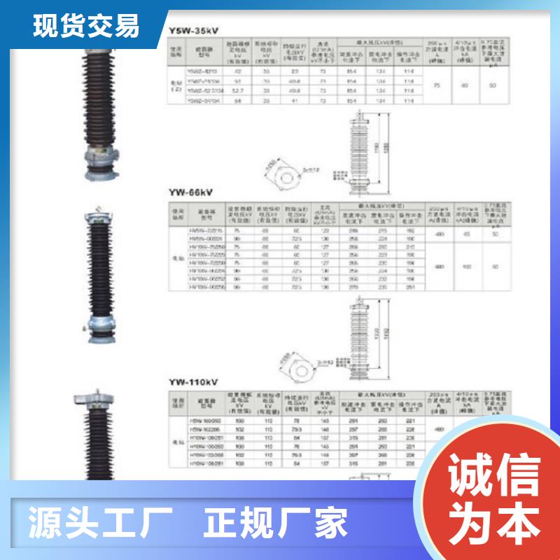 避雷器YH3WS-0.28/1.3【上海羿振电力设备有限公司】