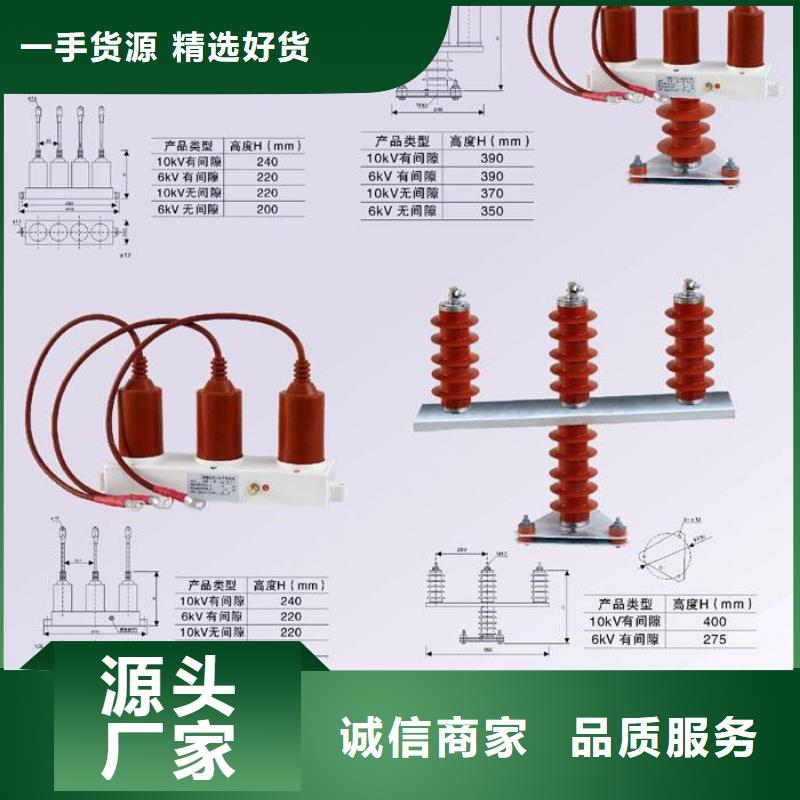 保护器(组合式避雷器)TBP-B-42F/630W