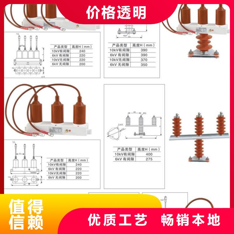 〖过电压保护器〗TBP-W-C/10-F源头好货