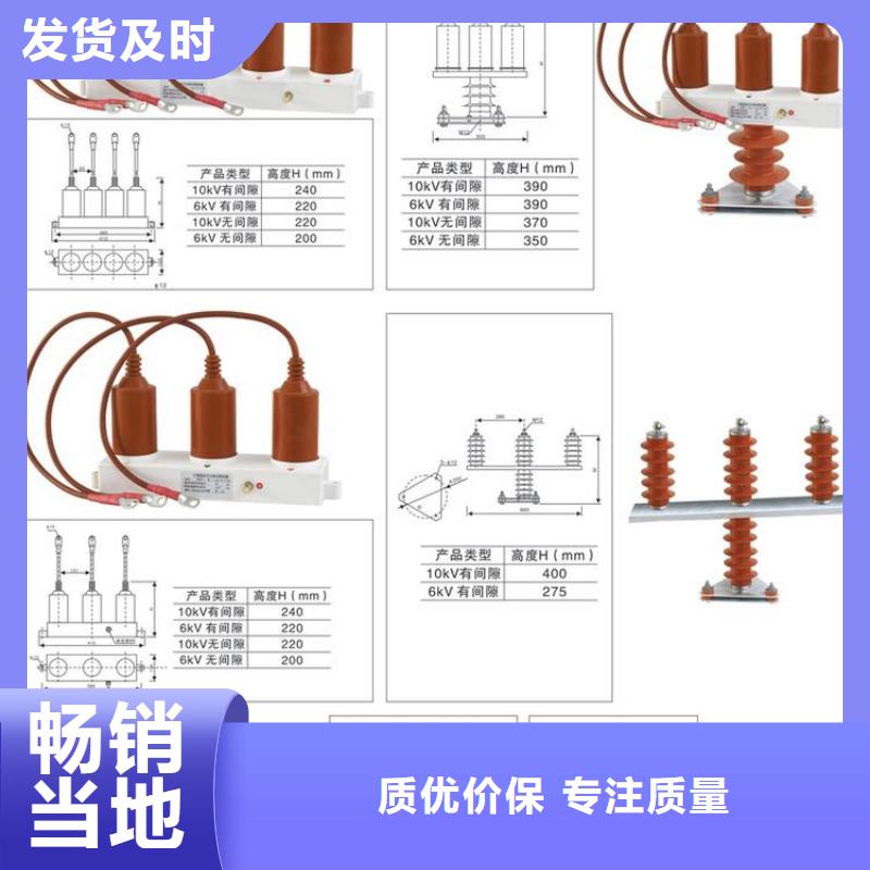 过电压保护器(组合式避雷器)TBP-B-12.7/38