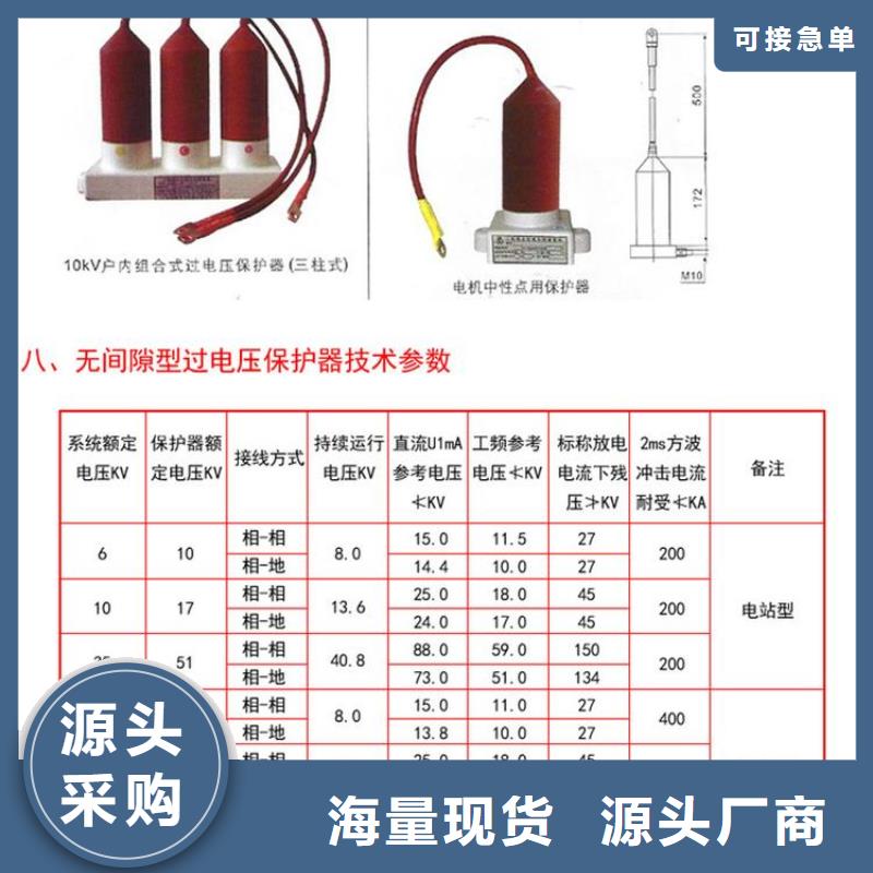 过电压保护器(组合式避雷器)BSTG-C-42F/200