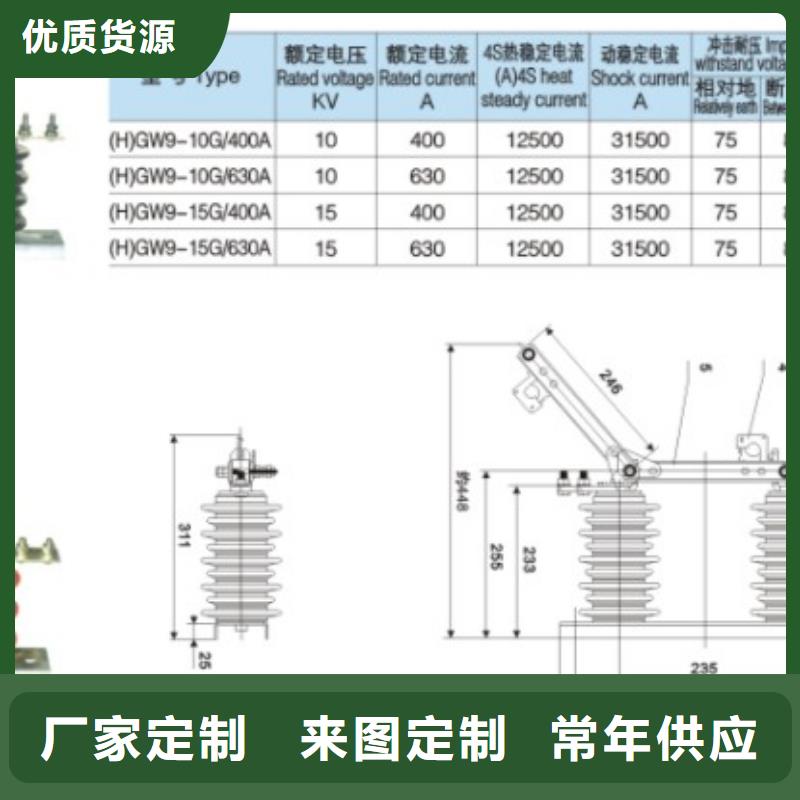 高压隔离开关：HGW9-12/200A质量放心