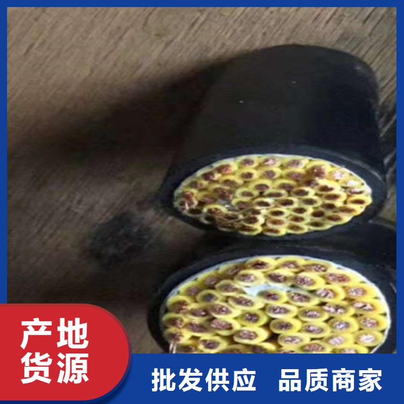 规格齐全的PRVZP6X0.75电缆结构图片销售厂家