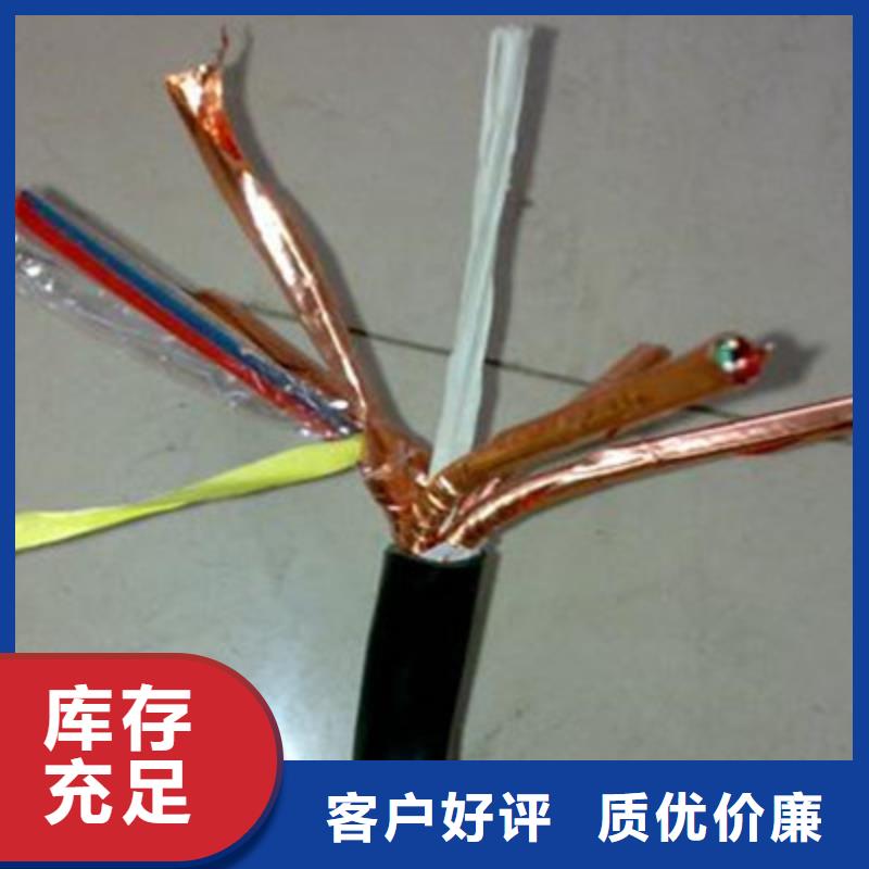 耐火计算机电缆NH-DJYPV22研发厂家