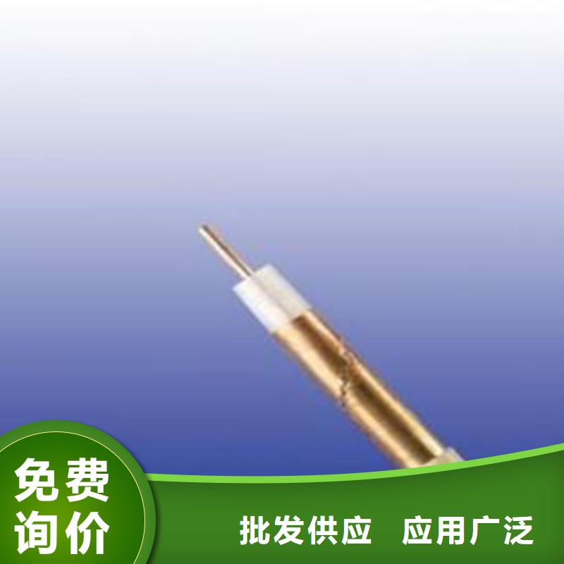 阻燃射频同轴电缆ZR-SYV厂家-质量可靠