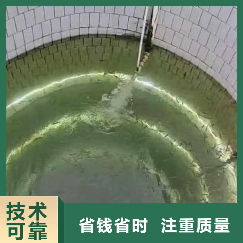 水下施工公司一最新放心选择一水下维修