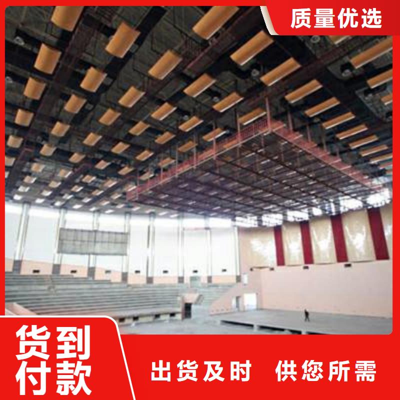 廉江市羽毛球馆体育馆吸音改造公司--2024最近方案/价格