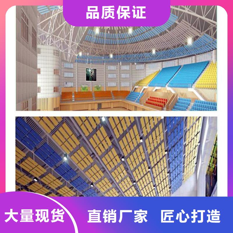 广东省深圳市华强北街道体育馆声学提升改造公司--2024最近方案/价格