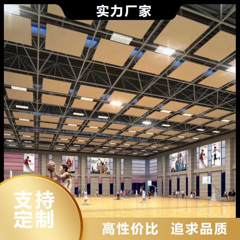 新野县羽毛球馆体育馆声学改造公司--2024最近方案/价格