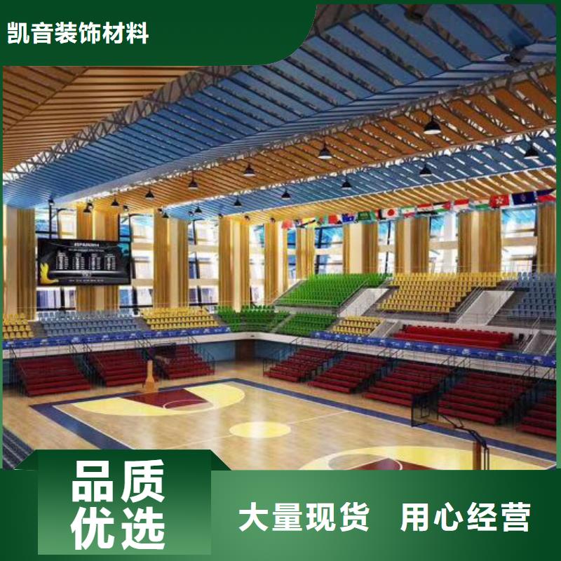 平陆县学校体育馆声学改造方案--2024最近方案/价格