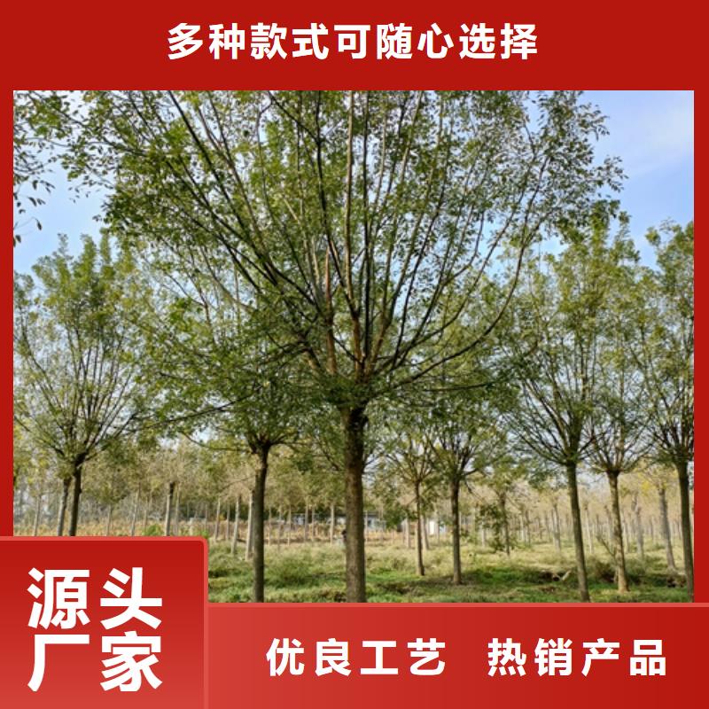 法桐行情为您节省成本