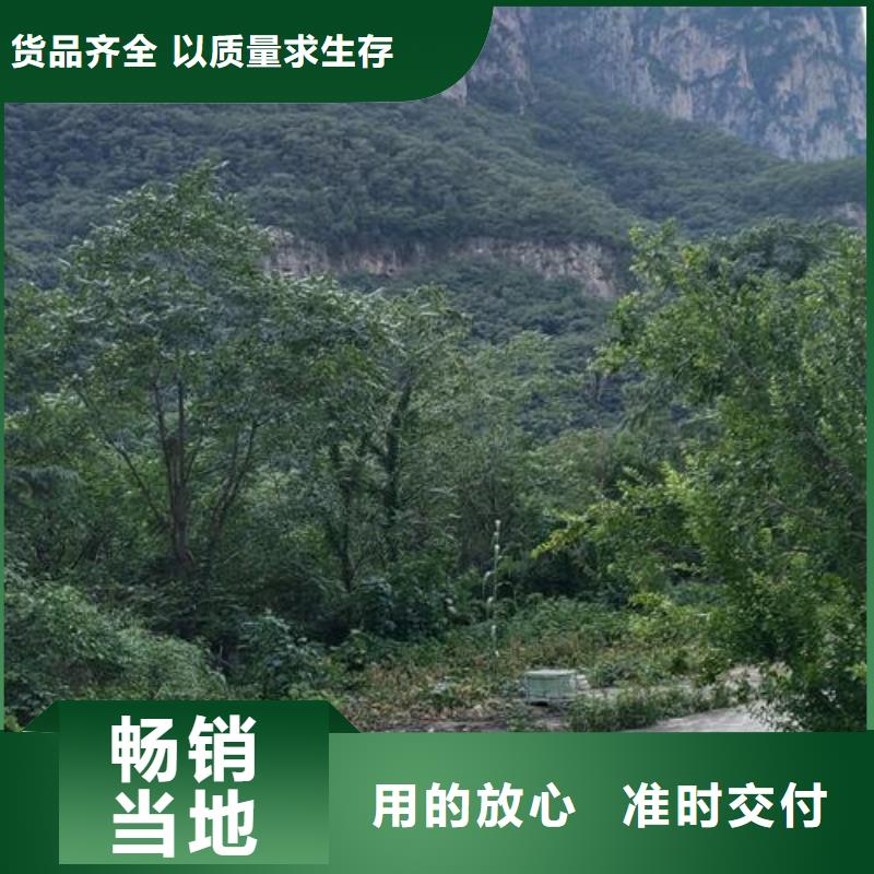 小型混凝土构造柱泵全国走货