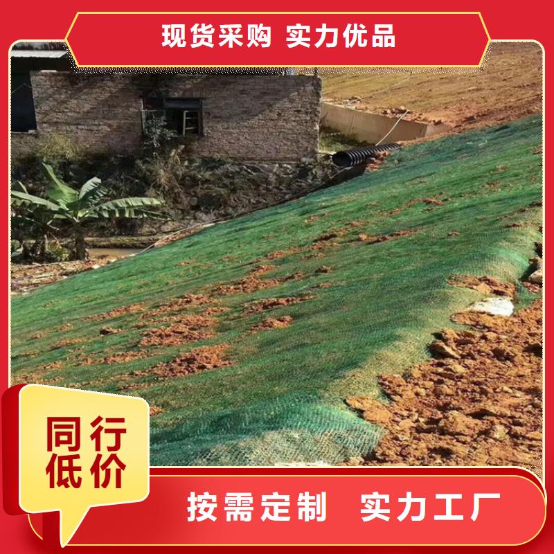 加筋抗冲生物毯厂家-量大从优