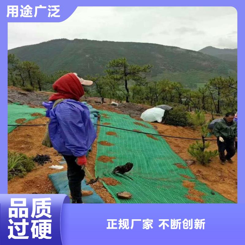 加筋植物纤维毯-加筋防冲毯-稻草毯