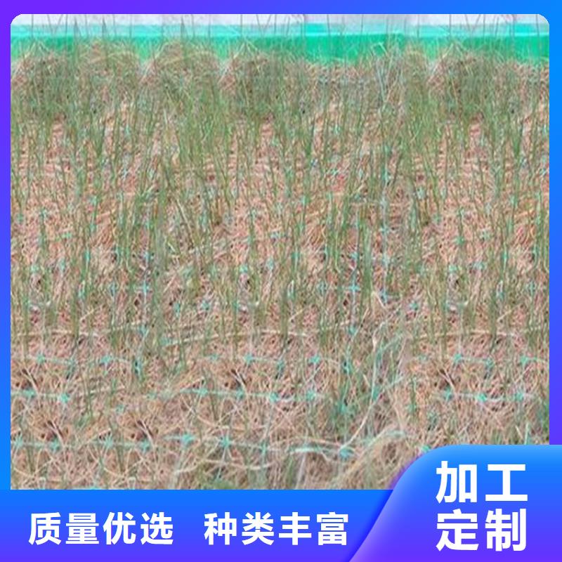 加筋复合植生毯生态植被毯