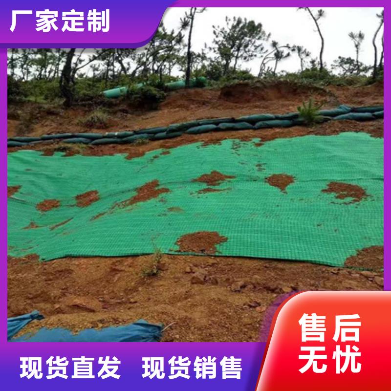 椰纤植生毯加筋抗冲生物毯产品动态