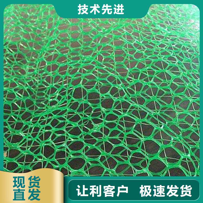 三维固土网垫多种检测
