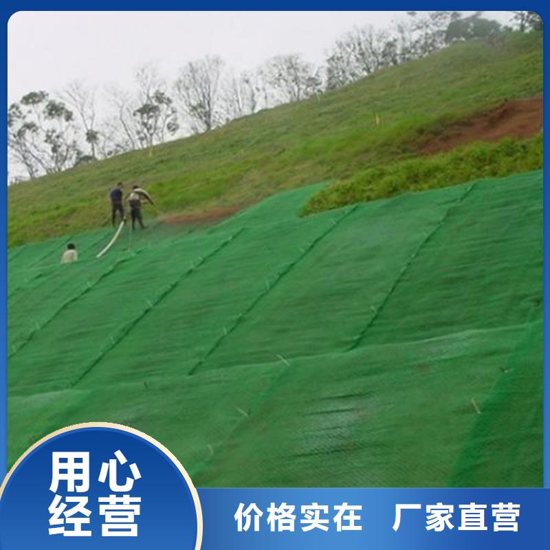 护坡加筋网垫-边坡三维植被网工厂直销