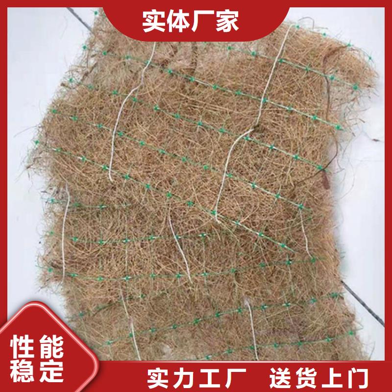 护坡植被植草毯-加筋抗冲生物毯