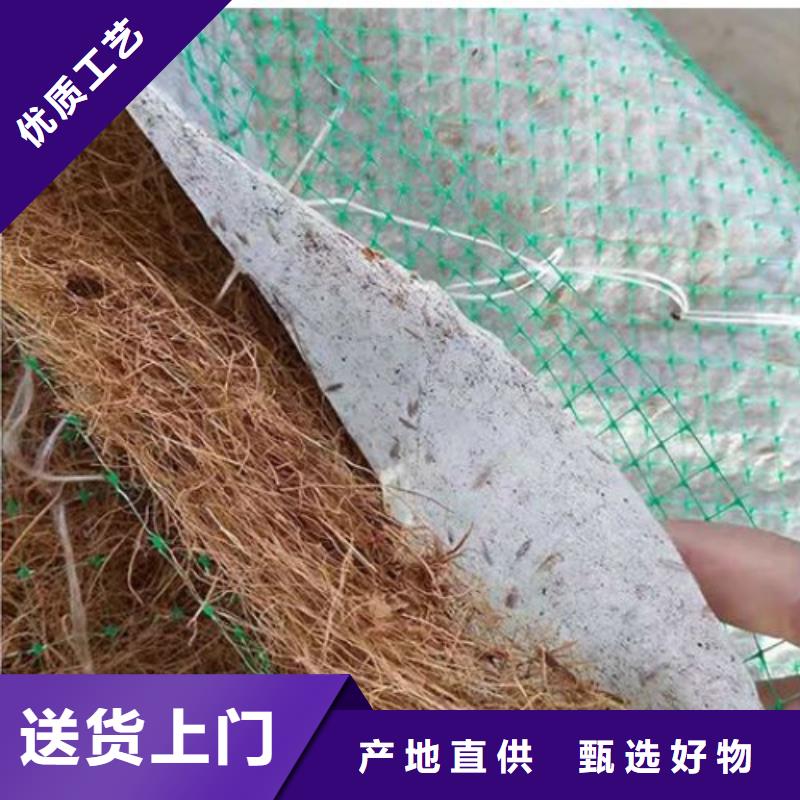 椰丝毯塑料土工格栅专注生产N年