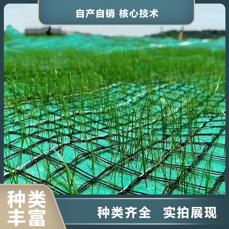 植物生态防护毯-加筋抗冲生物毯