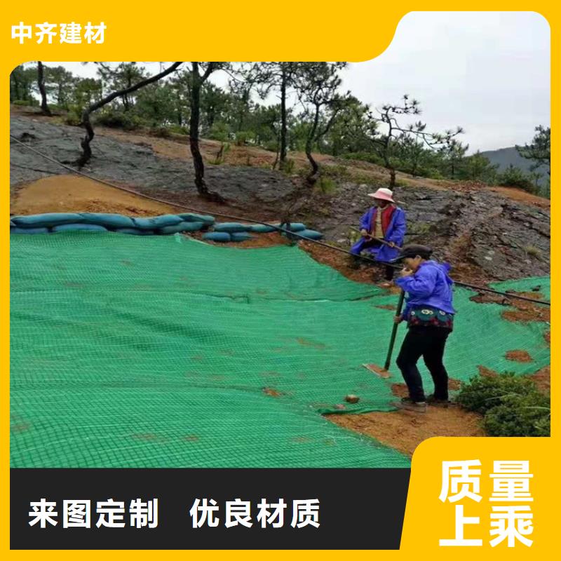 椰纤植生毯-加筋抗冲生态毯-椰丝护坡毯