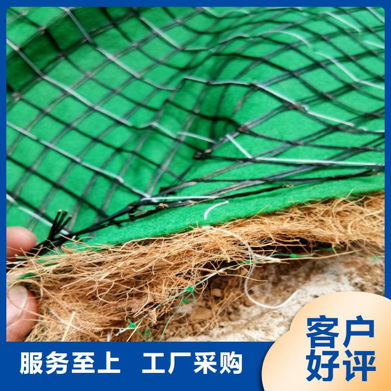 植生椰丝毯型号克重