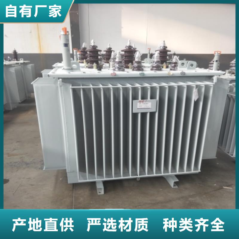 S11-125KVA/35KV/10KV/0.4KV油浸式变压器团队