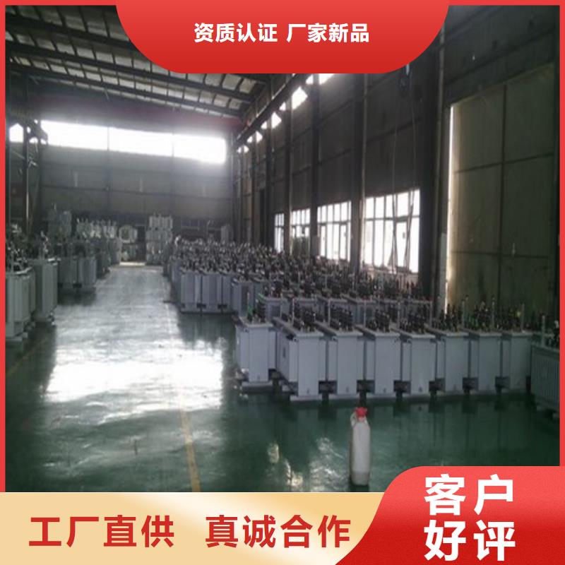 S20-800KVA/35KV/10KV/0.4KV油浸式变压器团队