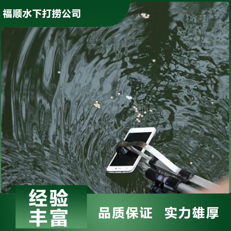 重庆市奉节县
池塘打捞貔貅

打捞公司