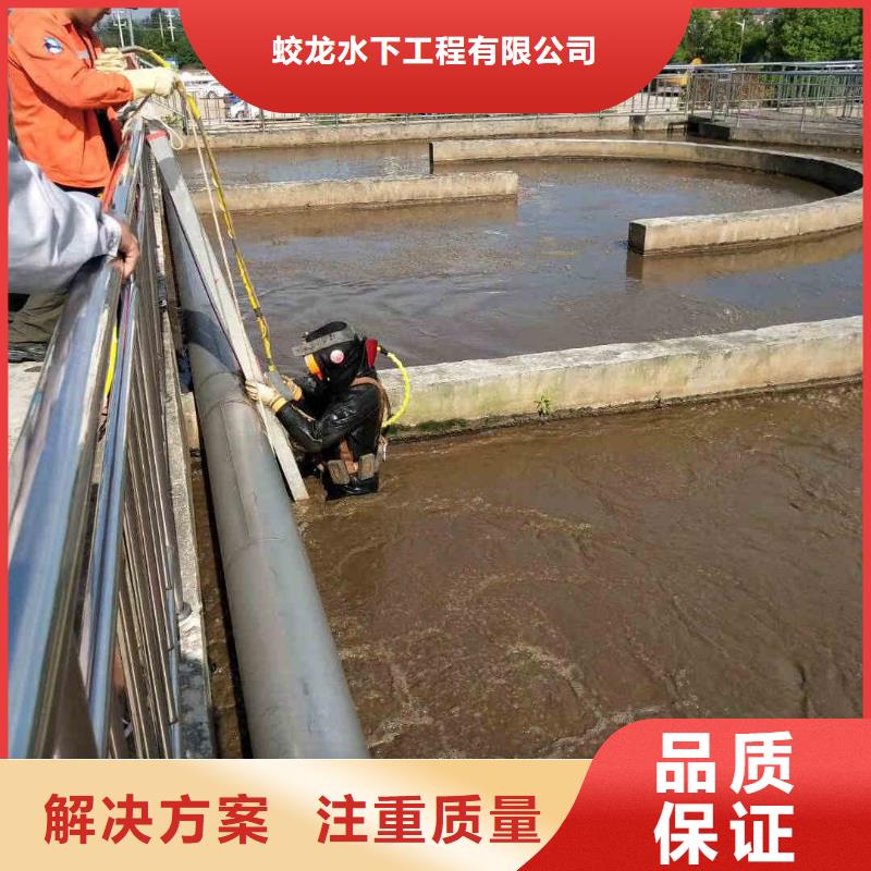 潜水服务公司本地潜水员团队品质好