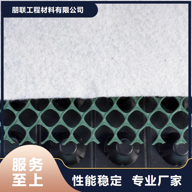 塑料排水板本地公司_朋联工程材料有限公司