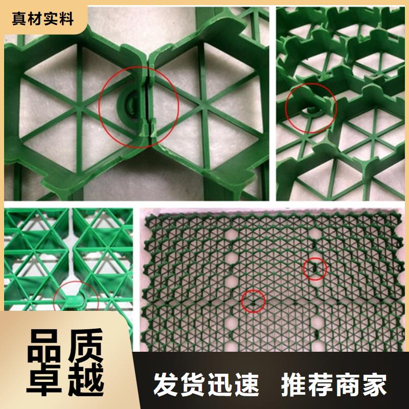 塑料植草格本地厂家