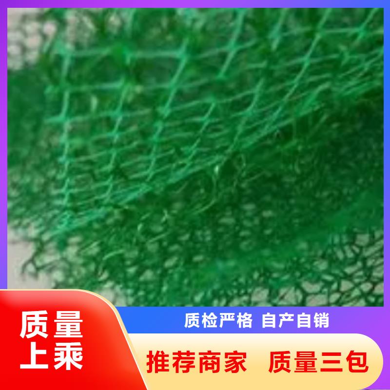 三维植被网_【植草格】大厂生产品质