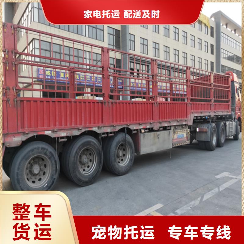 杭州货运_上海物流专线公司货运按时到达