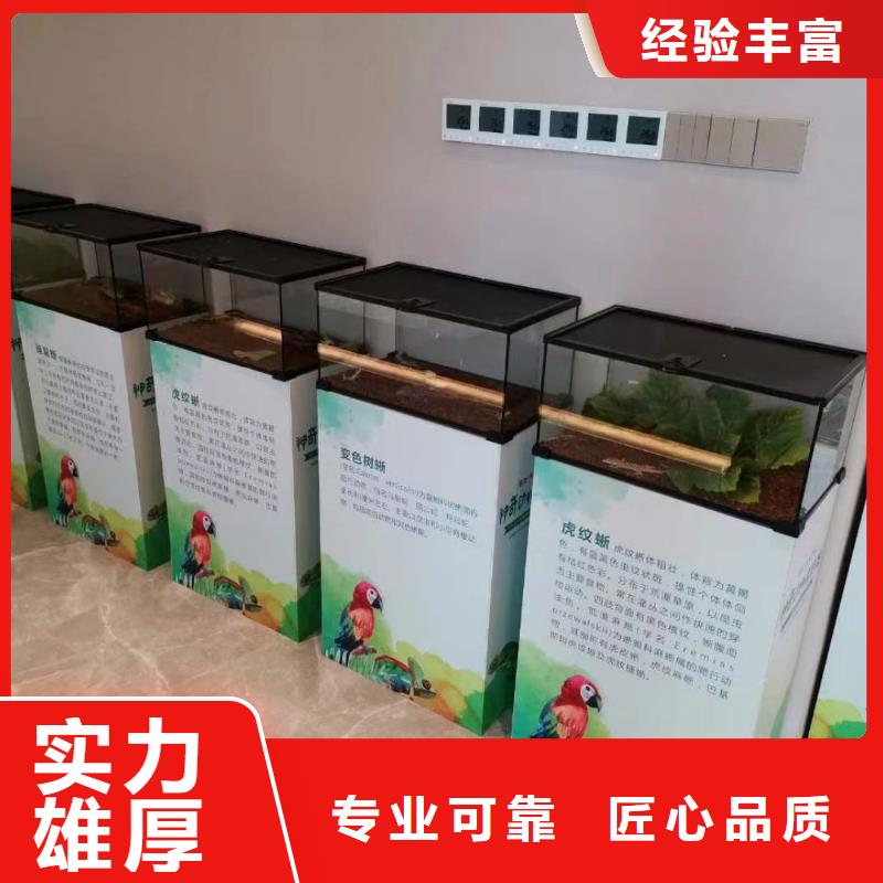 马戏团/羊驼【海洋展租赁】技术成熟