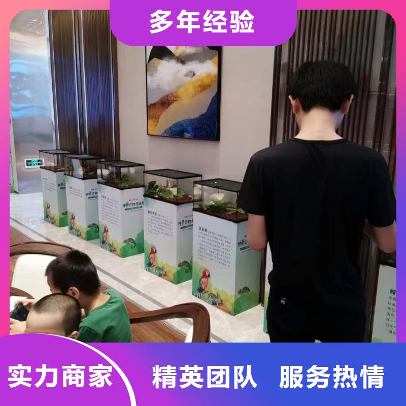 马戏团/羊驼【海洋展租赁】技术成熟