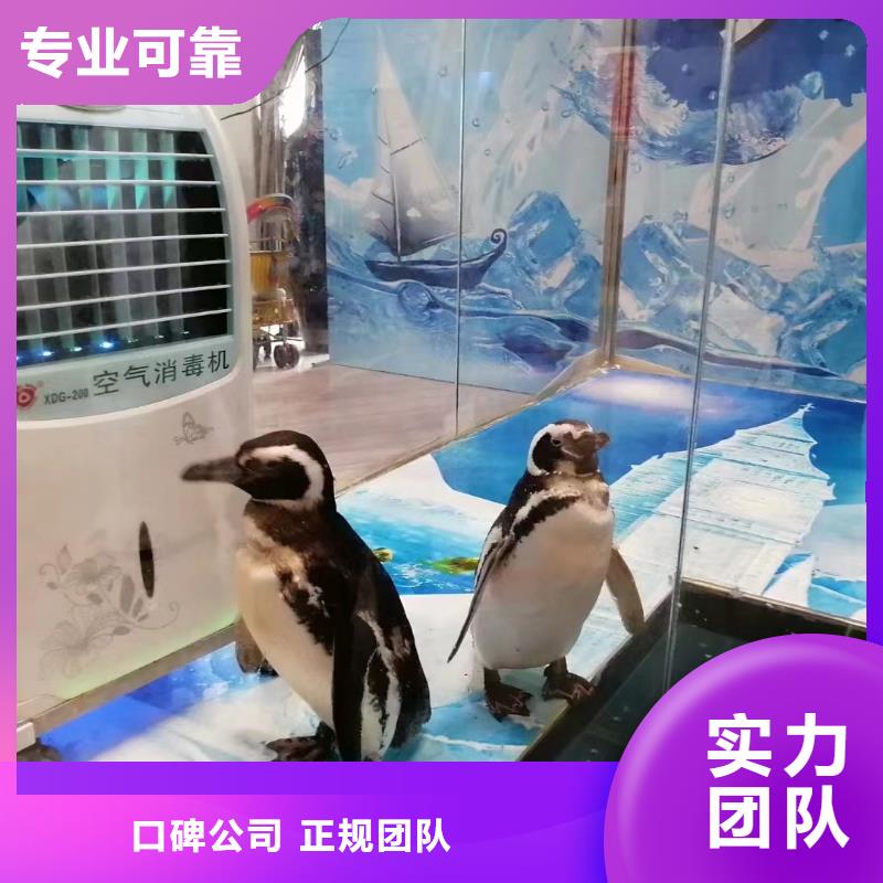 海洋生物鱼缸展出租活动庆典