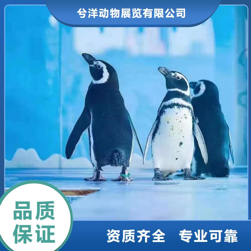 海洋生物展出租丰富多彩