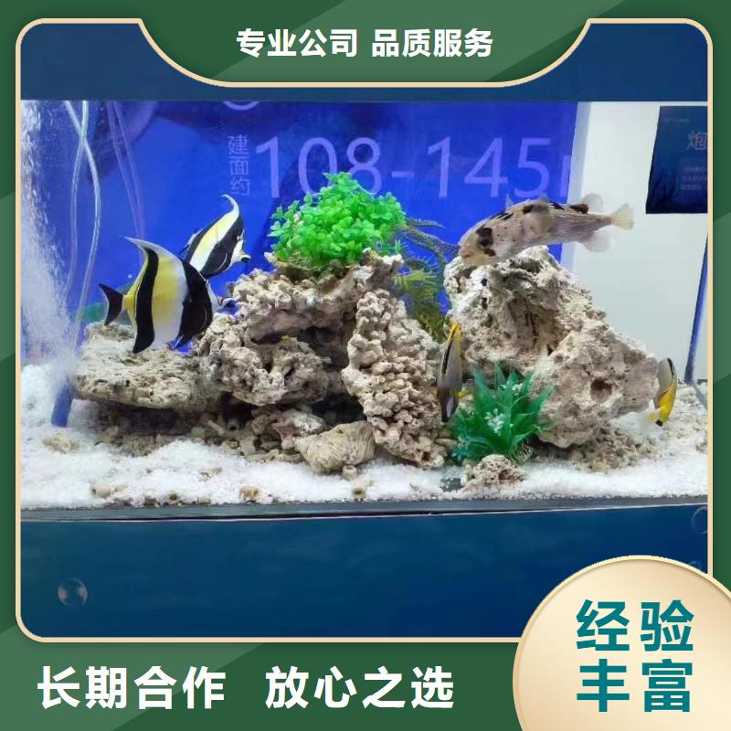 海狮表演租赁海洋主题