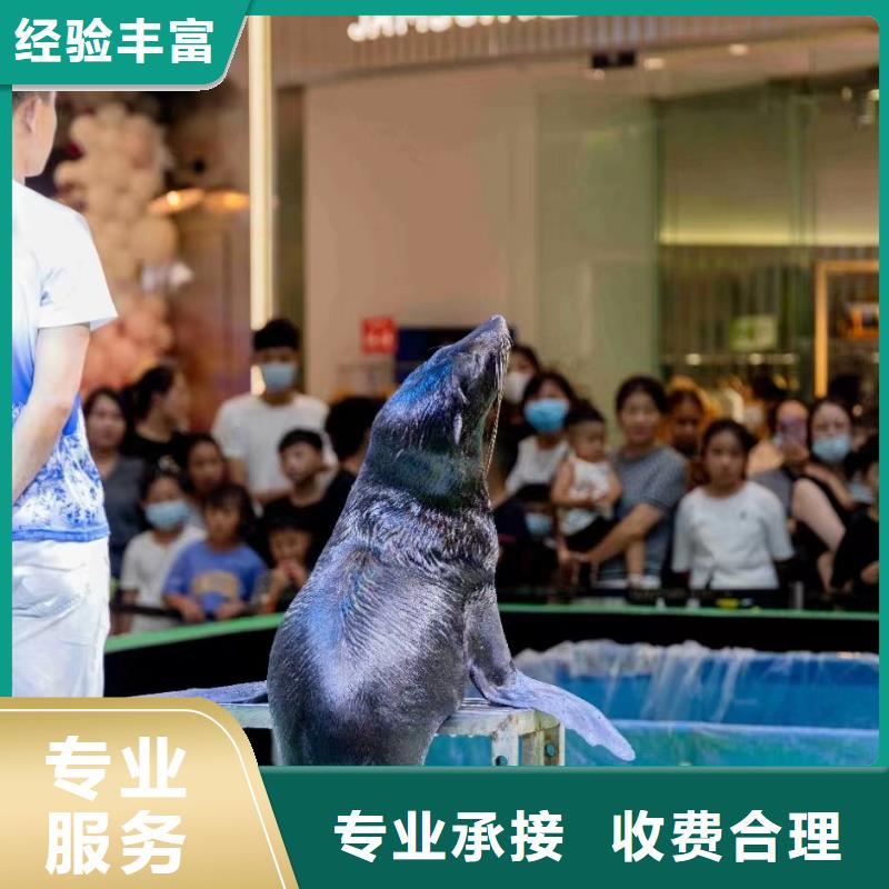 海洋生物鱼缸展租赁丰富多彩