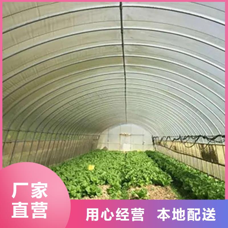 兴山县搭建温室钢架大棚造价品质保证2024-8-28