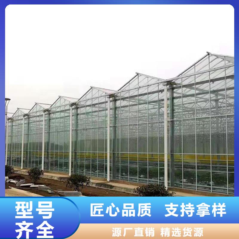 丰南区GP825单体蔬菜大棚生产基地