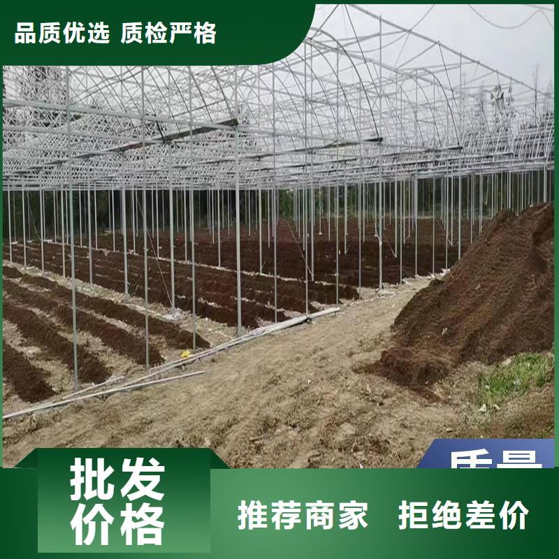 丰南区GP825单体蔬菜大棚生产基地