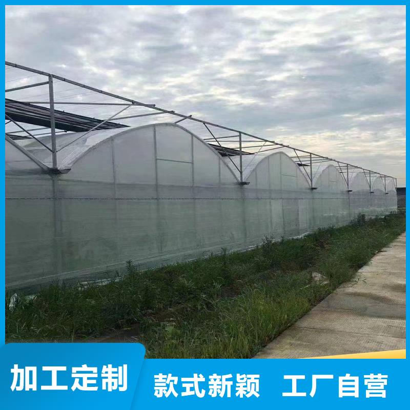 广东省汕头新津街道草莓西瓜擦地棚生产基地