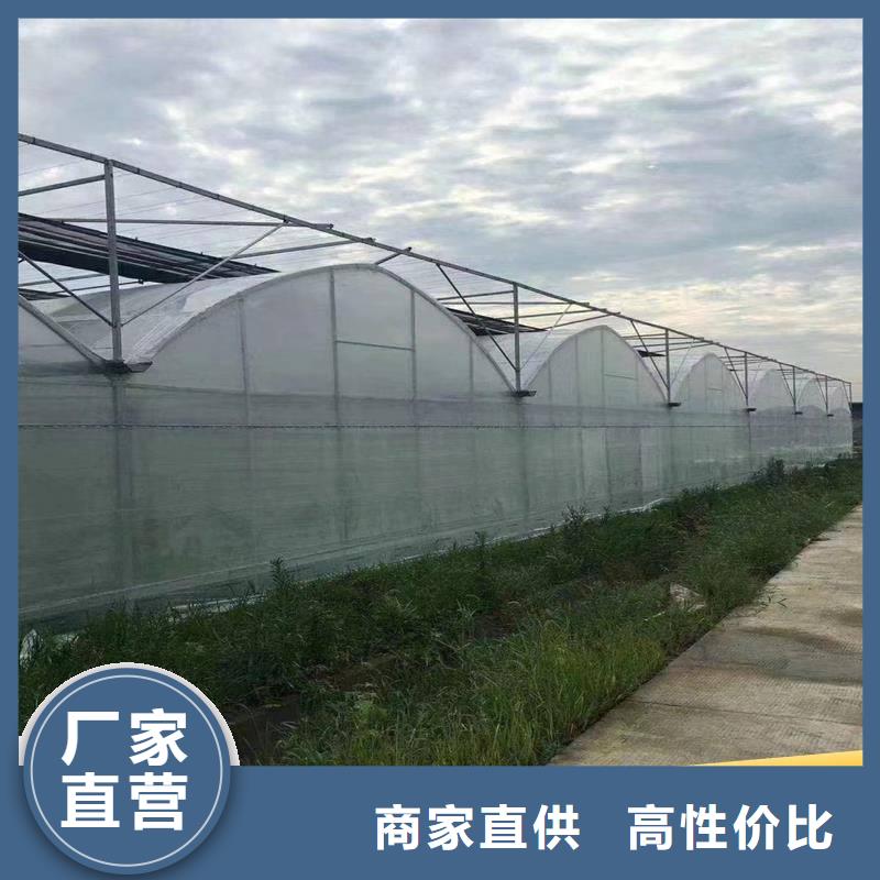云南省本地(金荣圣)县蓝莓大棚钢管价格优惠