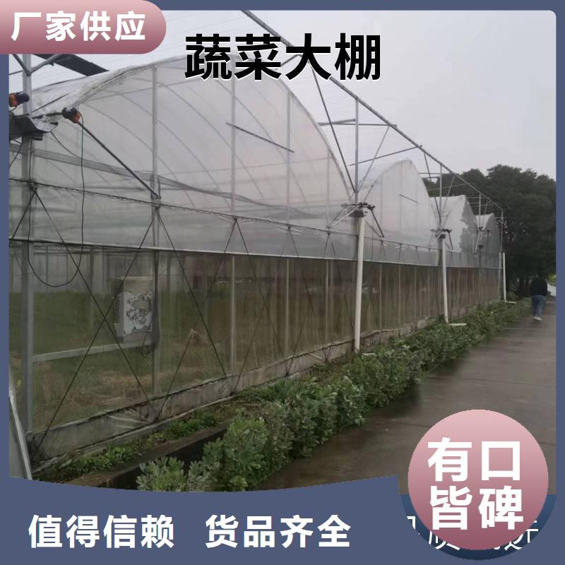 青海省草莓大棚管品质优金荣圣大棚