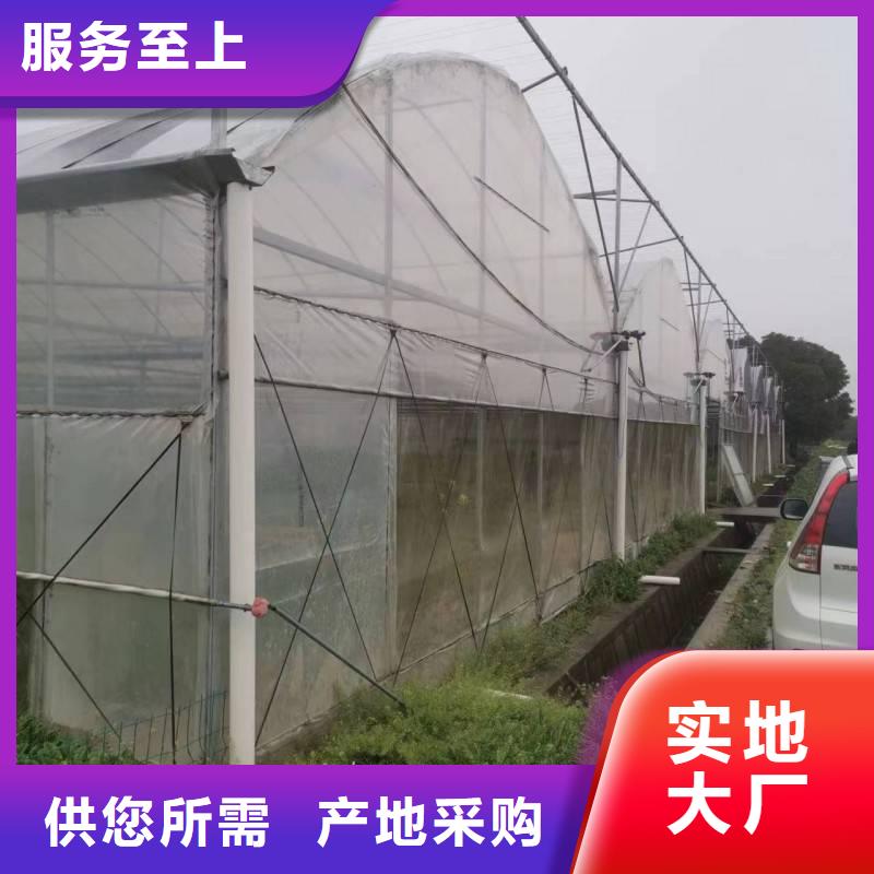 肥乡县GP825葡萄避雨大棚工厂直销