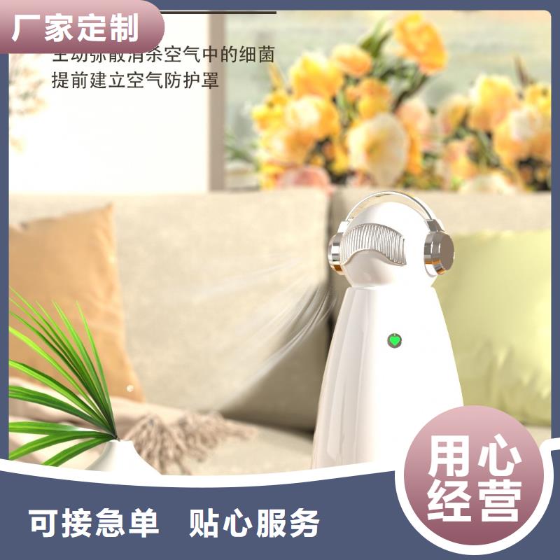 【深圳】负离子空气净化器工作原理小白空气守护机