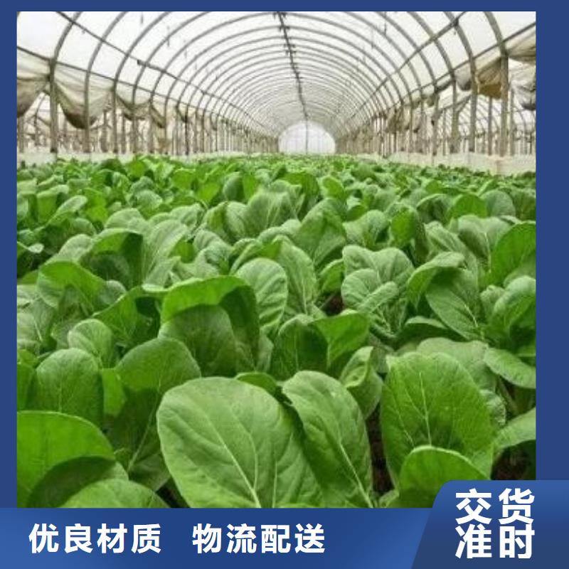 忻州大同阳原有机肥养地
